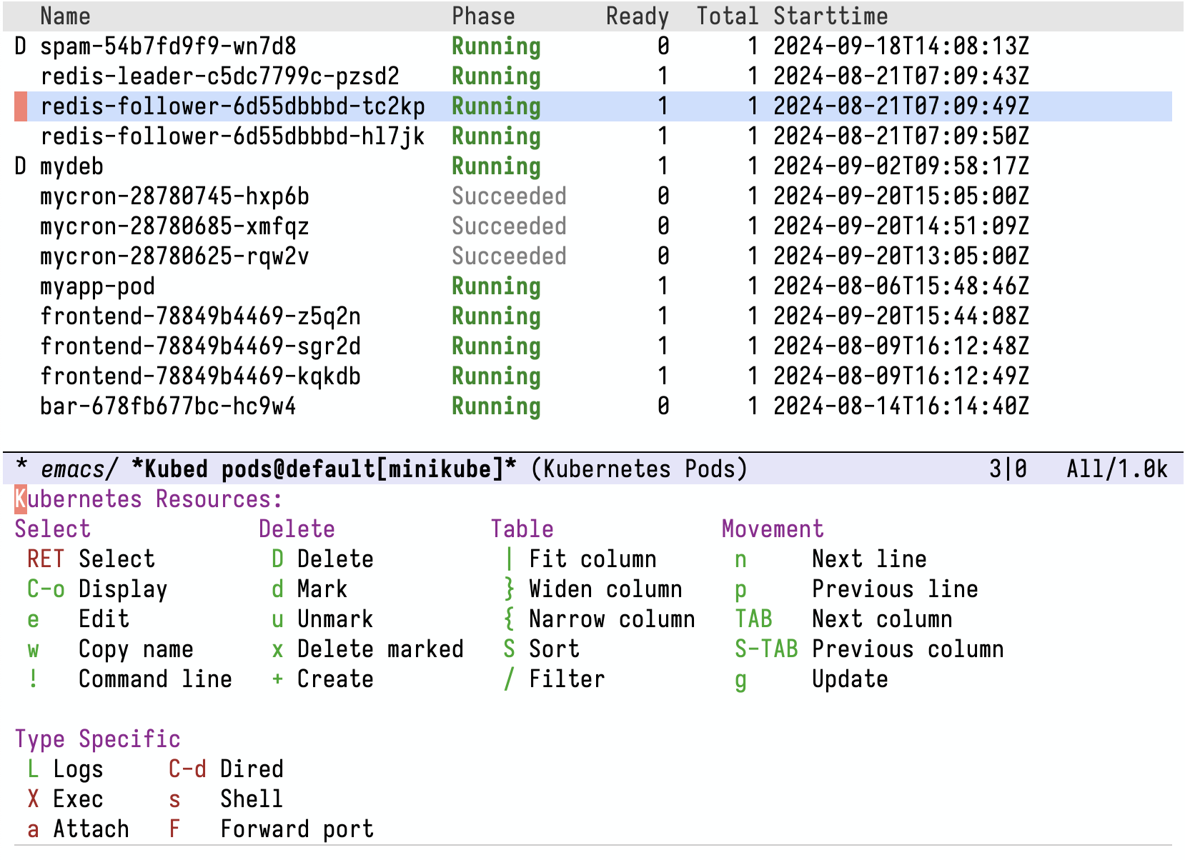 Image: Kubed pods list buffer with the help transient menu visible